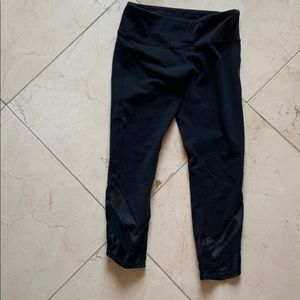 Alo capri